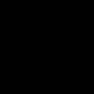 Meet your Posher, Hallie